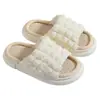 Lindas Pantuflas de Lino para Mujer Cuatro Estaciones Interiores Hogar Suela Gruesa Antideslizantes Absorbentes de Sudor Primavera Otoño Sensación de Algodón Lino Pantuflas Frescas Verano
