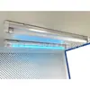 Bancada Pequena Mini Horizontal Ultra-Limpa Nível 100 Fluxo Laminar Estéril Capela de Fluxo Laminar Bancada Limpa de Mesa para Uma Pessoa Sem Poeira