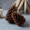 Pinha Natural Grande Pinheiro de Pântano Americano zakka Fruta Seca de Pinha Natural Decoração Rústica para Casa Suprimentos de Natal Nº