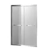 Pantalla Divisoria de Baño de una Sola Línea para Separación Seco-Húmedo, Mampara de Ducha con Puerta Doble Corredera, Perfil de Acero Inoxidable 304, Baño