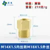 Adaptador de manómetro de cobre puro, reductor con roscas internas y externas M5M6M8M10M12M14*1.5M16 G1/4