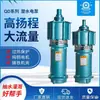 Bomba Sumergible Bomba de Elevación de Agua Qd Aspersor Riego Sumergible Dayuan Precipitación 380V Ratón Multietapa Gran Flujo 220 Flujo Uso Agrícola