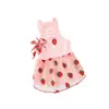 Saia de Gaze para Pet Vestido Fino de Verão para Cães Pequenos como Poodle, Teddy, Bichon, Yorkshire Terrier, e Gatos