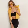 Chaleco Corto de Algodón con Relleno Cálido y Cuello Alto a la Moda para Mujer Otoño Invierno Nuevo Holgado Pequeño Chaleco de Algodón Ropa de Abrigo
