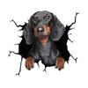 Tume Pegatinas de Pared de Animales Agrietados de Comercio Exterior Transfronterizo Pegatinas Creativas de Grietas para Coche Pegatinas de Vidrio Pegatinas de Perro