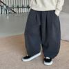 Pantalones de Forro Polar para Niños 2026 Otoño e Invierno Nuevos Estilo Coreano Moda Gruesos Casuales Pants Deportivos para Niños
