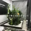 Parque de Decoração de Shopping Meichen Playground Grande Árvore Artificial Interna e Externa Plantas em Vasos Ornamentos Ponto
