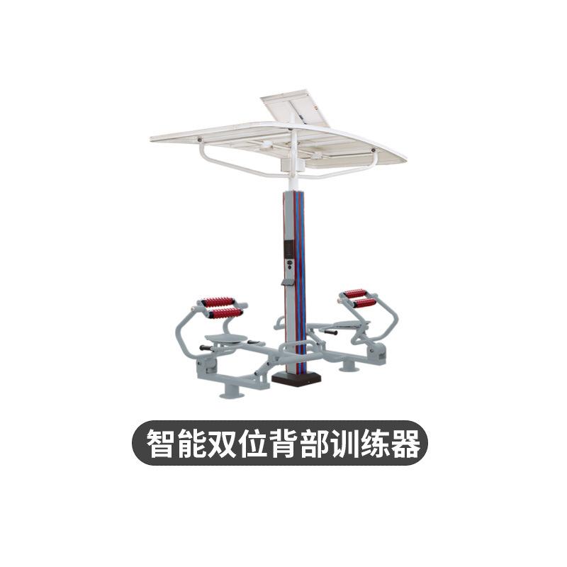 智能双位背部训练器