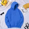 Moletom Unissex Moderno de Caimento Solto para Primavera e Outono, Moletom Casual, Moletom Liso Colorido Doce para Esportes