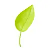 Dispositivo para regar flores percolador de agua fertilizante para raíces dispositivo para regar agua embudo para regar flores en maceta tipo hoja tierra para plantas verdes rociar hojas
