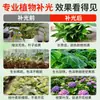 Luz de Crecimiento para Plantas para Invernaderos, Verduras y Flores, Lámpara LED para Plantas Verdes de Interior, Luz de Crecimiento de Jardín de Espectro Completo Similar a la Luz Solar