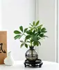 Las plantas hidropónicas traen riqueza de todas partes, plantas hidropónicas de madera de pata de pato, flores en maceta, plantas verdes de oficina, purificación de interiores para la sala de estar