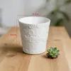 Mini Macetas, Exquisitas Macetas para Suculentas, Pequeñas Macetas para Plantas de Interior, Macetas Pequeñas de Plástico Modernas No Porosas