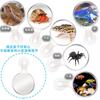 Lupa para acuario Douyu micro paisajismo Hormiga Araña observación de animales pequeños planta lupa acrílica con ventosa