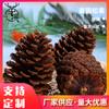 Decoración de árbol de Navidad de piña de pino americana a granel Material DIY de piña de pino Accesorios para fotografía Decoraciones Fruta de abeto