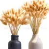 Novo Buquê de Flores Secas de Capim Rabo de Coelho Decoração para Casa Arranjo de Flores Ornamento Capim Rabo de Raposa Decoração Criativa para Casa