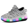 Zapatos de coco de verano zapatos de dos ruedas heywalk zapatos de polea para niños zapatos con luz LED zapatos emisores de luz vibratoria luz de círculo completo una generación de pelo