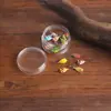 Anzuelo de Pesca con Cabeza de Plomo de 6 Colores Planos con Forma de Renacuajo 1.45g Micro Anzuelo de Pesca en Hielo Colorido Señuelo de Pesca Suave con Señuelo Anzuelo de Pesca