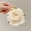 Pinza para el pelo grande y moderna para mujer, elegante y sofisticada, pinza para el pelo exquisita, pinza de tiburón simple para primavera-verano