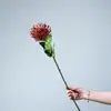 Flores Artificiales para Accesorios de Fotografía, Arreglos Florales, Bodas y Decoración del Hogar: Crisantemo, Áster, Asteraceae, Crisantemo Pinza de Cangrejo