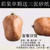 Fruta Bodhi Fruta Coração de Buda Semente Original da Malásia Fruta Velha Colar Pingente de Fruta Grande Colorido Fruta Original Vermelha Super Maitai Bao
