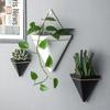 Plantas Creativas para Pared de Sala de Estar, Macetas de Pared, Pared de Fondo, Decoraciones Blandas de Pared, Colgantes de Plantas Verdes, Porcelana Blanca