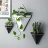 Plantas de Parede Criativas Nórdicas para Sala de Estar, Vasos de Flores de Parede, Decorações de Parede de Fundo, Pendentes de Plantas Verdes