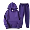 Roupas femininas europeias e americanas, conjunto de moletom de duas peças com forro de fleece e calças femininas de quadril largo, moletom esportivo casual