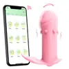 Sexo Transfronterizo en el Cuerpo, Control Remoto para Uso al Aire Libre, Rebote de Vibración Fuerte, Juguete para el Orgasmo Femenino, Juguete Sexual para Adultos