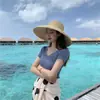 2024 Novo Estilo de Verão Slim Gola V Manga Curta Tricô de Seda Gelada Camiseta Feminina Simples Camisa Básica Top Fino