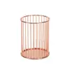Porta-Canetas Redondo Multifuncional Amazon Dourado Rosa Porta-Canetas de Ferro Papelaria de Escritório Porta-Armazenamento de Pincéis de Maquiagem Estilo Ins