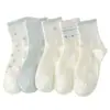 Calcetines de media pantorrilla para mujer, lindos y dulces, para Otoño e Invierno, con moño, antibacterianos, resistentes al olor, anti-pilling, para estudiantes