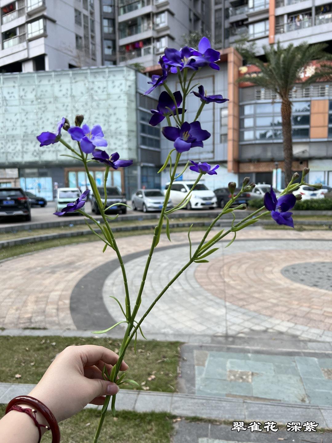 微信图片_20220304112427_副本.jpg