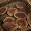 Rodajas de Astas de Ciervo de la Provincia de Jilin Noreste para Hombres, para Remojar en Vino, Agua o Hacer Sopa, 20G/Caja, Especialidad de Jilin, Venta al Por Mayor desde el Fabricante