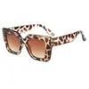 Gafas de Sol Cuadradas de Moda Sencilla con Montura Grande para Mujer, Gafas de Sol para Celebridades de Internet, Tomas Callejeras