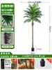 Grande Palmeira Areca Simulada Planta Tropical Coqueiro Planta Verde Biônica de Interior Árvore Falsa Atmosfera Paisagismo Ornamentos em Vaso
