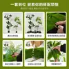 Combinação Paisagística de Plantas Artificiais Verdes Estilo Tropical com Vasos para Escadas Internas e Varandas, Plantas Verdes Grandes para Decoração de Casa, Sem Manutenção
