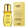 Energia de Gengibre Líquido Personalizado para Aquecimento Corporal, Massagem de Ombro, Pescoço, Cintura e Pernas, Óleo Essencial Herbal para Alívio da Dor Oem