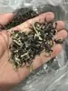 Hongos Oreja de Madera secos en tiras al por mayor, Hongos Oreja de Madera de dorso blanco en tiras, Hongos Oreja de Madera negros en tiras, a granel comercial, Hongos Oreja de Madera pre-cortados en tiras