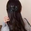 Grampo de Cabelo Curvo com Estampa de Leopardo e Abalone Estilo Coreano Fashion para a Parte de Trás da Cabeça, Acessório de Cabelo de Alto Padrão Estilo Antigo