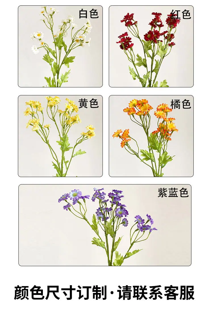 小邹菊_06.jpg