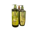 Shampoo Anticaspa Schwarzkopf Essência de Gengibre 600ml Condicionador Cuidado Capilar Controle de Oleosidade Anticaspa