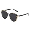 Nuevas Gafas de Sol Polarizadas de Moda para Mujer Tendencia Ins Gafas de Celebridad de Internet Europeas y Americanas Gafas de Sol Anti-UV en Stock