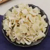 Orelha-de-pau branca do Nordeste, orelha-de-pau branca grande, orelha-de-pau branca pequena em formato de tigela, orelha-de-pau branca seca, limpa e sem raiz, 500g, frete grátis