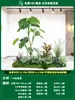 Paisagismo de Planta Artificial Varanda Arranjo de Paisagem Escada Interna Sob Árvore de Flores Artificiais Decoração Biomórfica Planta Verde Paisagismo Combinação