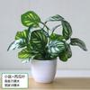 Plantas de Jiboia Simuladas, Plantas Verdes Artificiais, Enfeites de Flores Simuladas, Lan House, Sala de Estar, Quarto, Clube de Hotel, Enfeites de Plástico, Frete Grátis