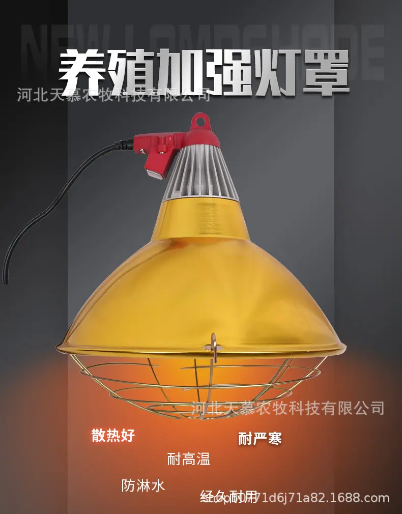 详情_01.jpg