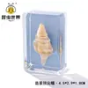 Artesanía Jingling Muestras Biológicas Acuáticas Conchas de Caracol Peces Camarones Cangrejos Regalos de Educación Científica Adornos de Resina Caja Sorpresa