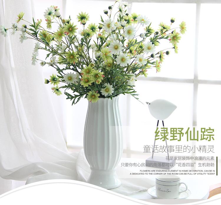 丁香菊20 (1).jpg