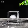 Cubo tallado de cristal, Adorno de cubo de nube en blanco personalizado, Adopta una nube y regala a las niñas un regalo de vacaciones de cumpleaños
